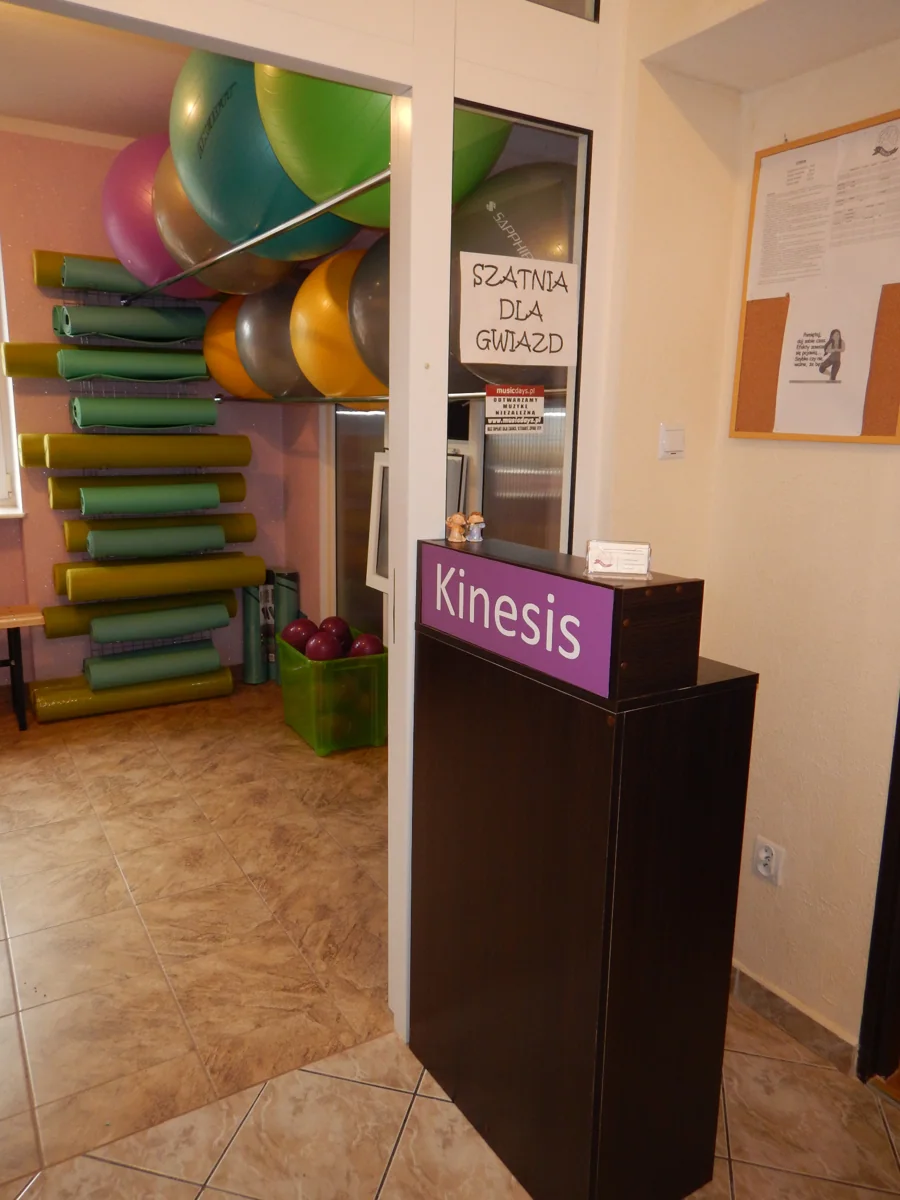 Kinesis Studio — autentyczne zdjęcie sali, zajęć lub wnętrza